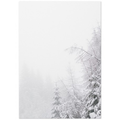 Комплект постеров "Snowy Forest"