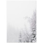 Комплект постеров "Snowy Forest"