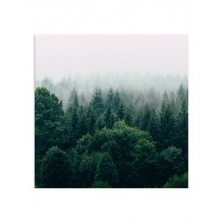 Комплект постеров "Black|Emerald"