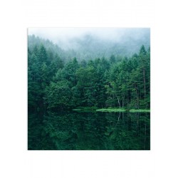 Комплект постерів "Black|Emerald"