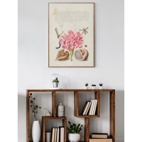 Постер "Botany. Flowers"