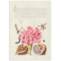 Постер "Botany. Flowers"