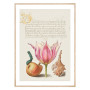 Постер "Botany. Flowers"