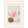 Постер "Botany. Flowers"