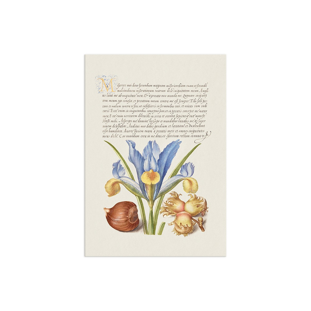 Постер "Botany. Flowers"