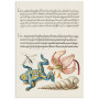 Постер "Botany. Flowers"