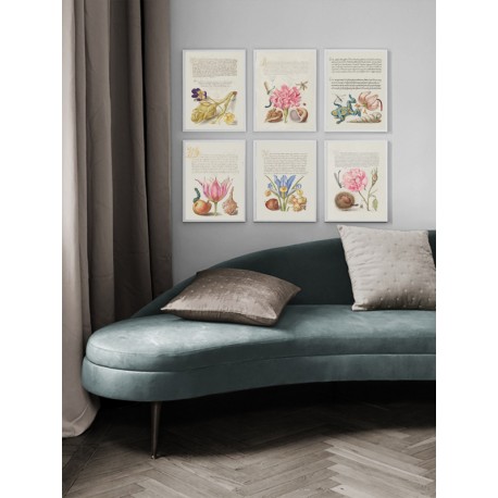 Постер "Botany. Flowers"