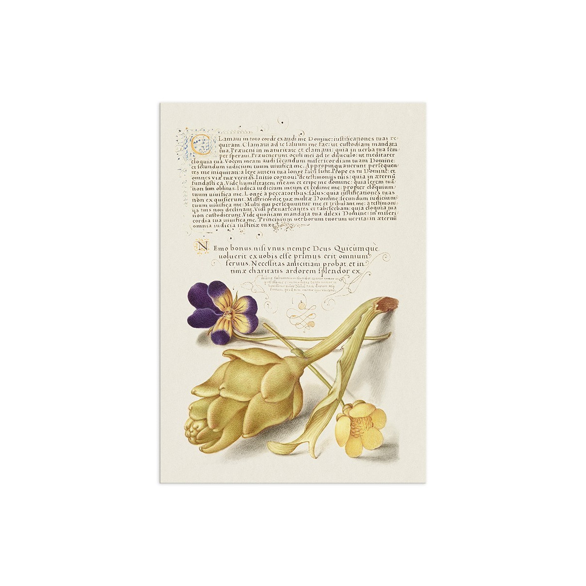 Постер "Botany. Flowers"