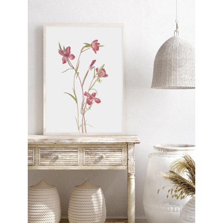 Постер "Botany. Flowers"