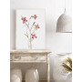 Постер "Botany. Flowers"