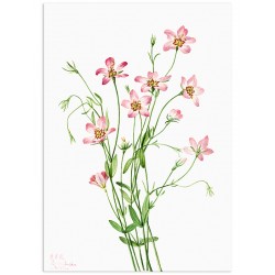 Постер "Botany. Flowers"