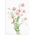 Постер "Botany. Flowers"