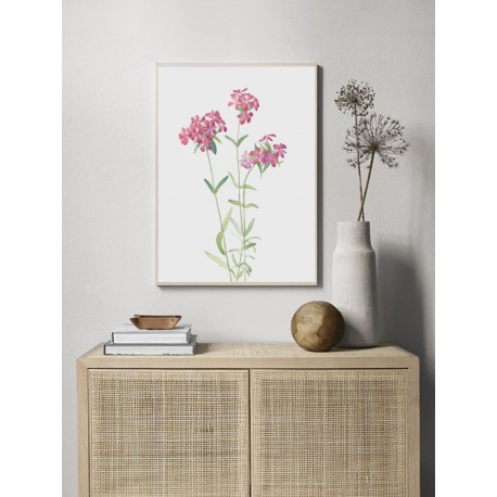 Постер "Botany. Flowers"