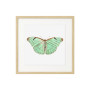 Постер "Botany. Butterflies"