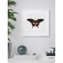 Постер "Botany. Butterflies"