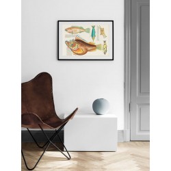 Постер в рамці "Психоделічні риби Луї Ренара (1678–1746)"