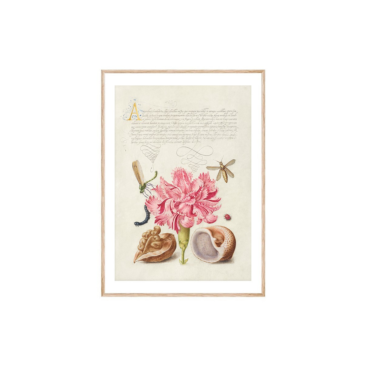 Постер в рамці "Flowers. Botany"