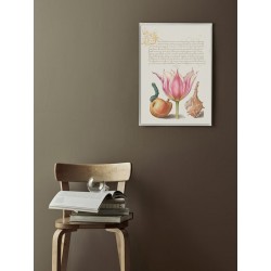 Постер в рамке "Flowers. Botany"