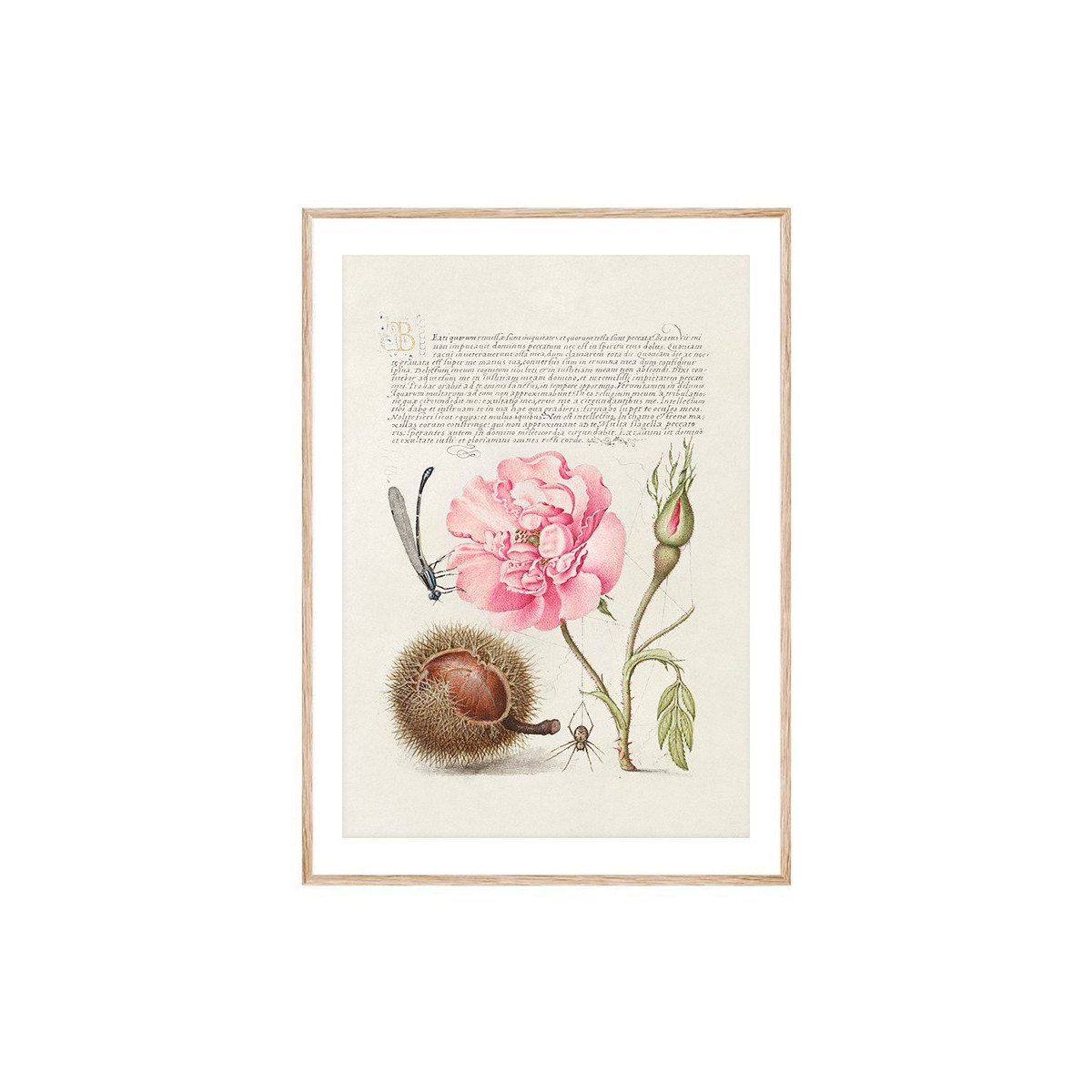 Постер в рамці "Flowers. Botany"
