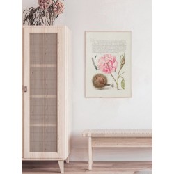 Постер в рамке "Flowers. Botany"