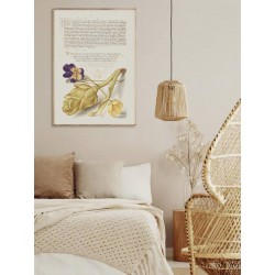 Постер в рамке "Flowers. Botany"