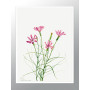 Постер в рамке "Flowers. Botany"