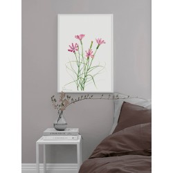 Постер в рамці "Flowers. Botany"