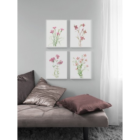 Постер в рамке "Flowers. Botany"