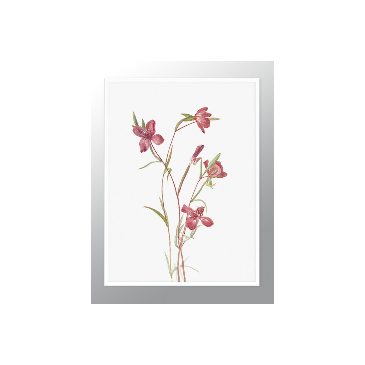 Постер в рамці "Flowers. Botany"
