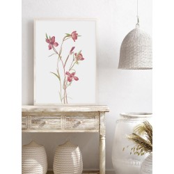 Постер в рамке "Flowers. Botany"