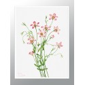 Постер в рамке "Flowers. Botany"