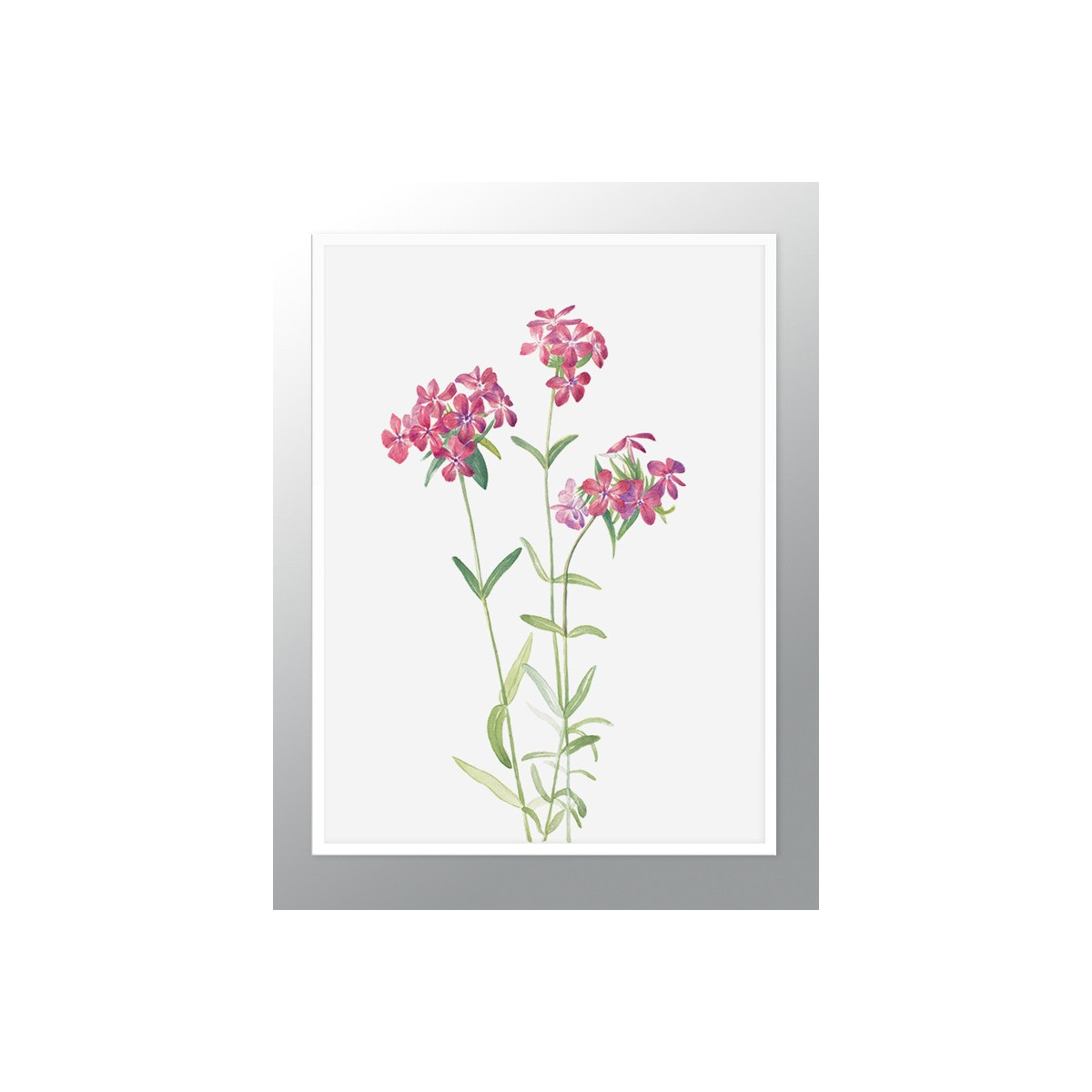 Постер в рамці "Flowers. Botany"