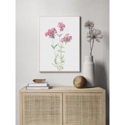 Постер в рамке "Flowers. Botany"