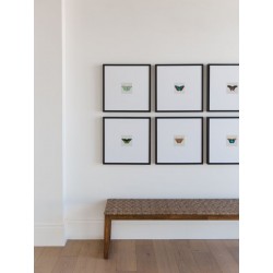 Постер в рамке "Botany. Butterflies"