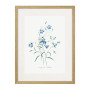 Постер "Botany. Butterflies"