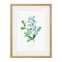 Постер "Botany. Butterflies"