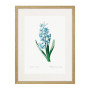 Постер "Botany. Butterflies"