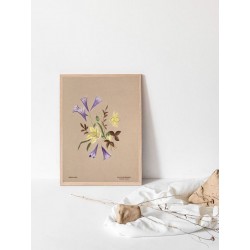 Постер "Botanical flowers"