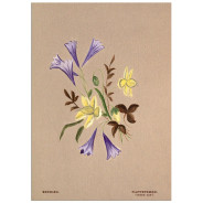Постер "Botanical flowers"