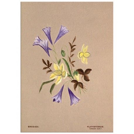 Постер "Botanical flowers"