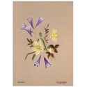 Постер "Botanical flowers"