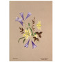 Постер "Botanical flowers"