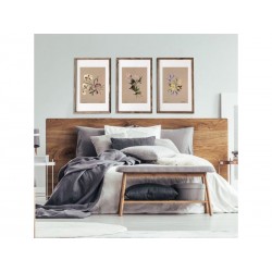 Постер "Botanical flowers"