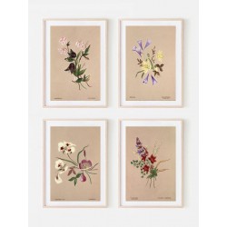 Постер "Botanical flowers"