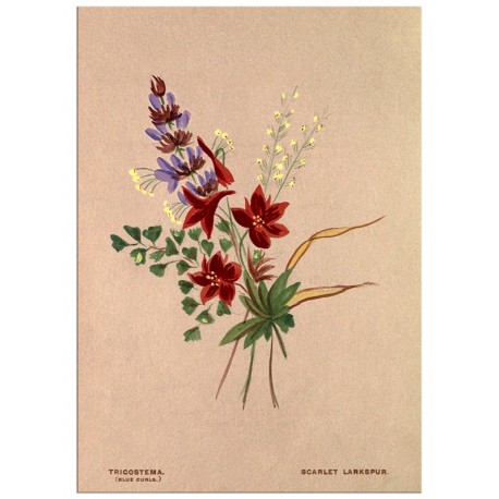 Постер "Botanical flowers"