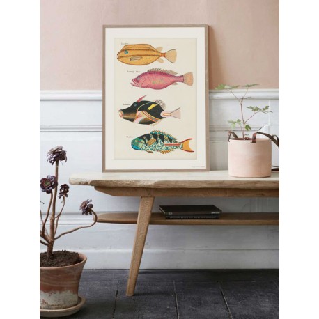 Постер "Botany. Fish"