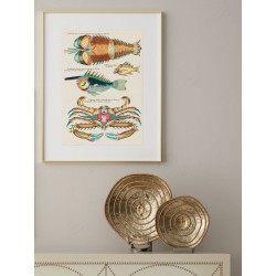 Постер "Botany. Fish"