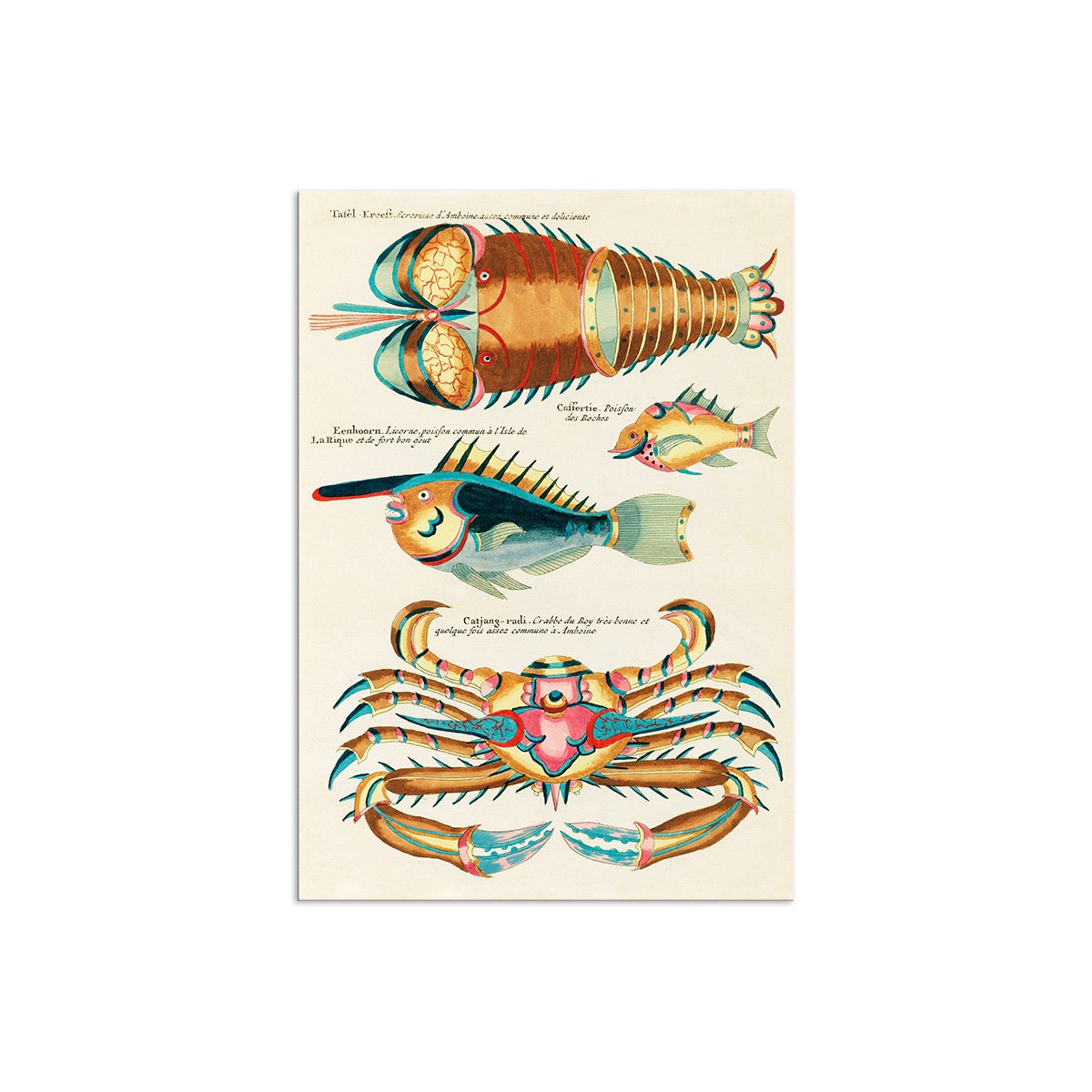 Постер "Botany. Fish"