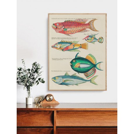 Постер "Botany. Fish"