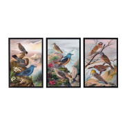 Постер "Botany. Birds"